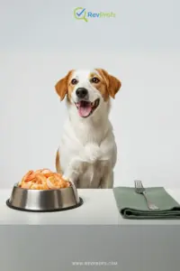 A small cooked, shelled shrimp on a dog's food bowl with dry kibble.
